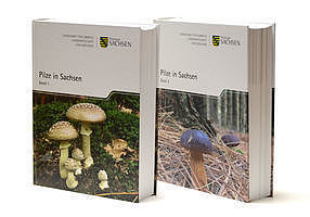Pilze in Sachsen